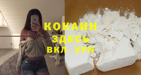 хмурый Вяземский