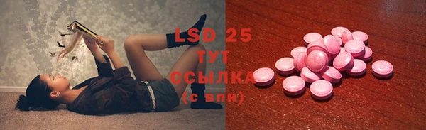 хмурый Вяземский