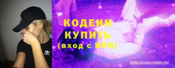 хмурый Вяземский