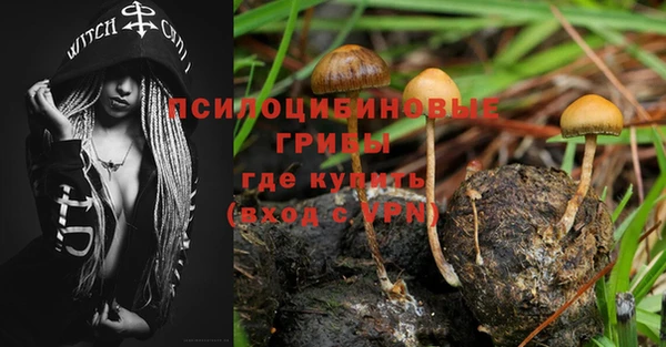 хмурый Вяземский