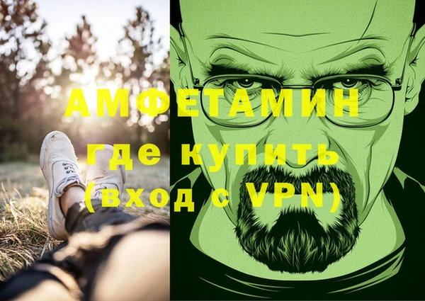 хмурый Вяземский