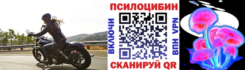 Галлюциногенные грибы Cubensis  Химки 